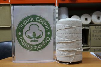 Organik Pamuk